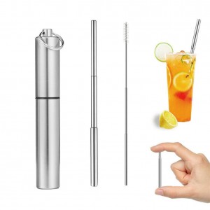 Stainless Steel EP Telescopic Straw